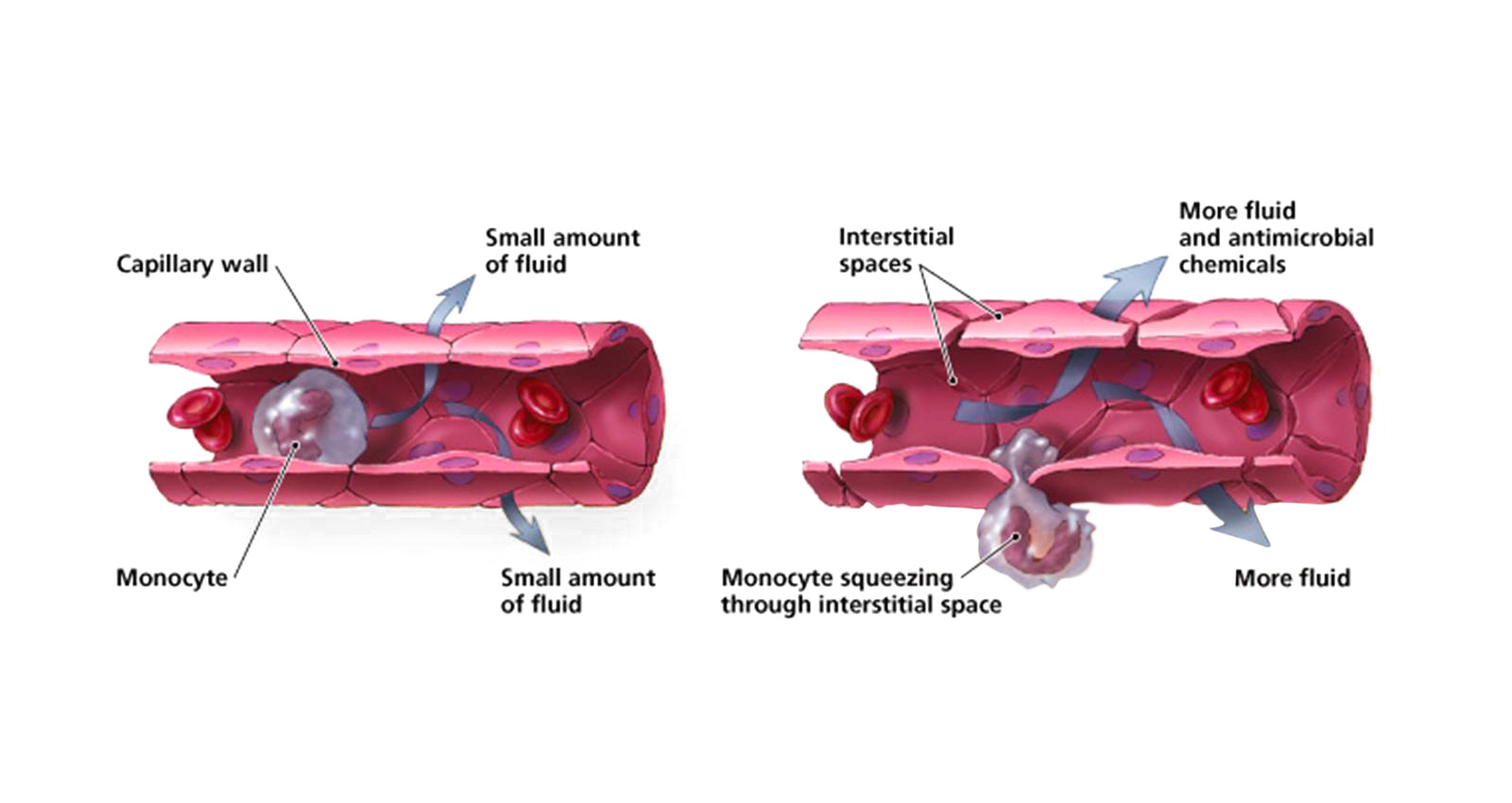 How CRYODERM Acts on Receptors Research